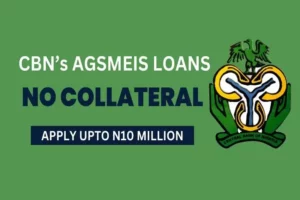 CBN AGESMEIS Loan Portal