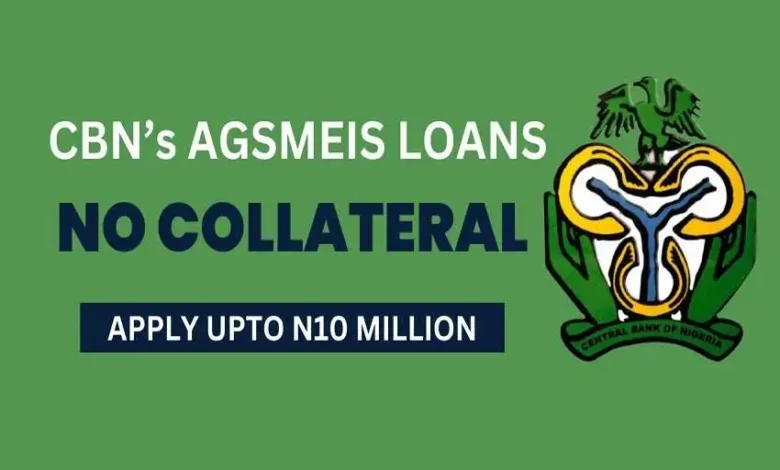CBN AGESMEIS Loan Portal