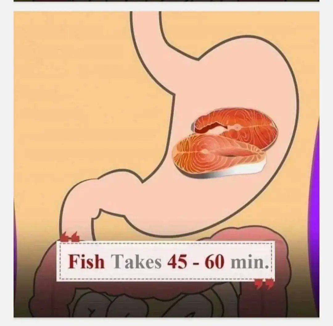 How Long Does It Take to Digest fish 