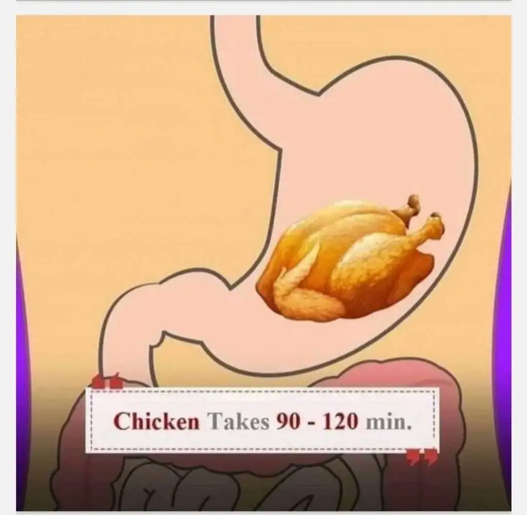 How Long Does It Take to Digest Chicken 