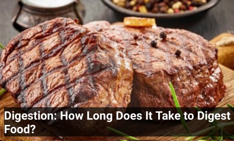 Digestion: How Long Does It Take to Digest Food?