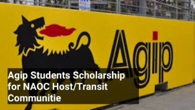 Agip Students Scholarship 2023/2024