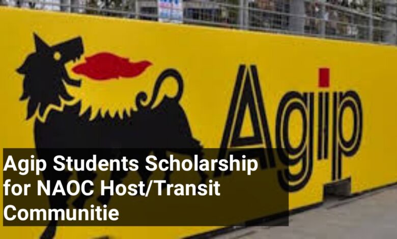 Agip Students Scholarship 2023/2024