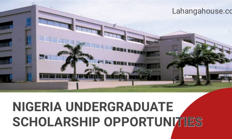 Nigeria Undergraduate Scholarship Opportunities