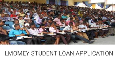 Lmomey Student Loan Application