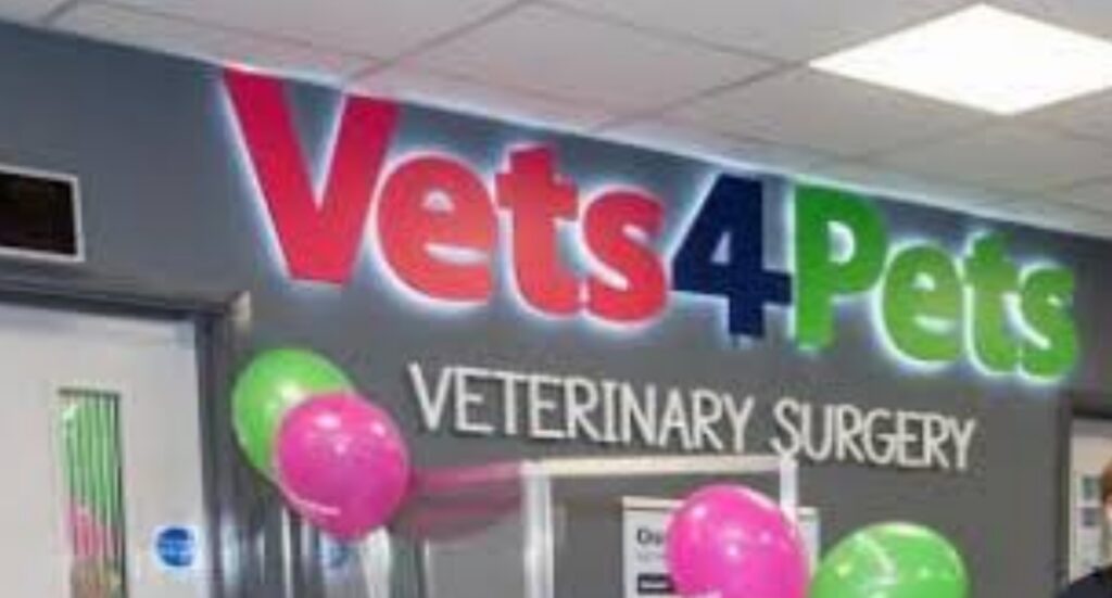 Graduate Veterinary Surgeon Needed in UK