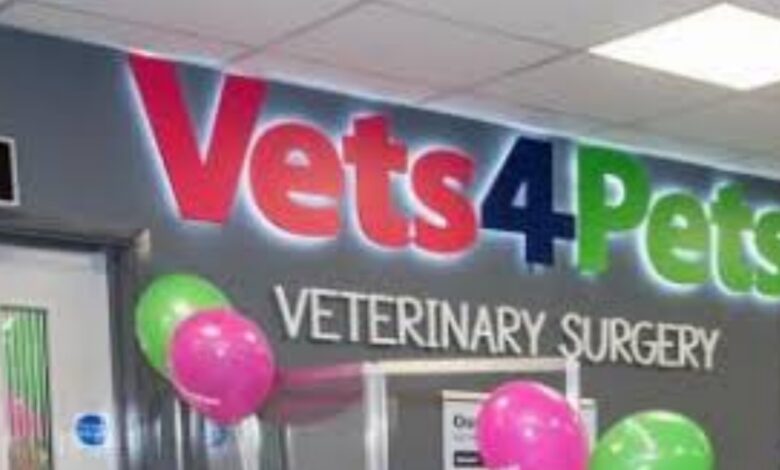 Graduate Veterinary Surgeon Needed in UK