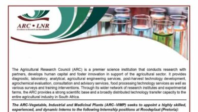 ARC Internship Program